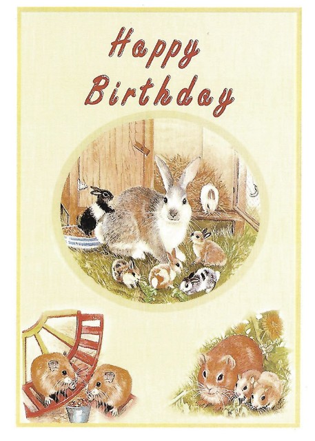Rabbits Birthday Card
